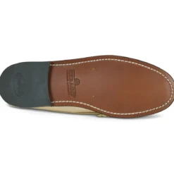 Sebago Dan