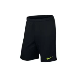 Shorts Nike