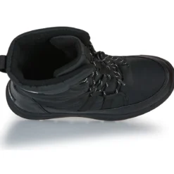 Sorel Whitney