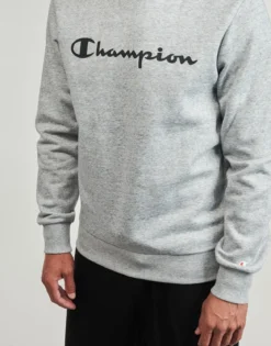 Sweatshirts Champion