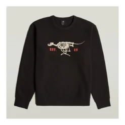 Sweatshirts G-Star Raw