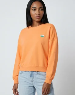 Sweatshirts Only