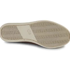 TBS PHENISE