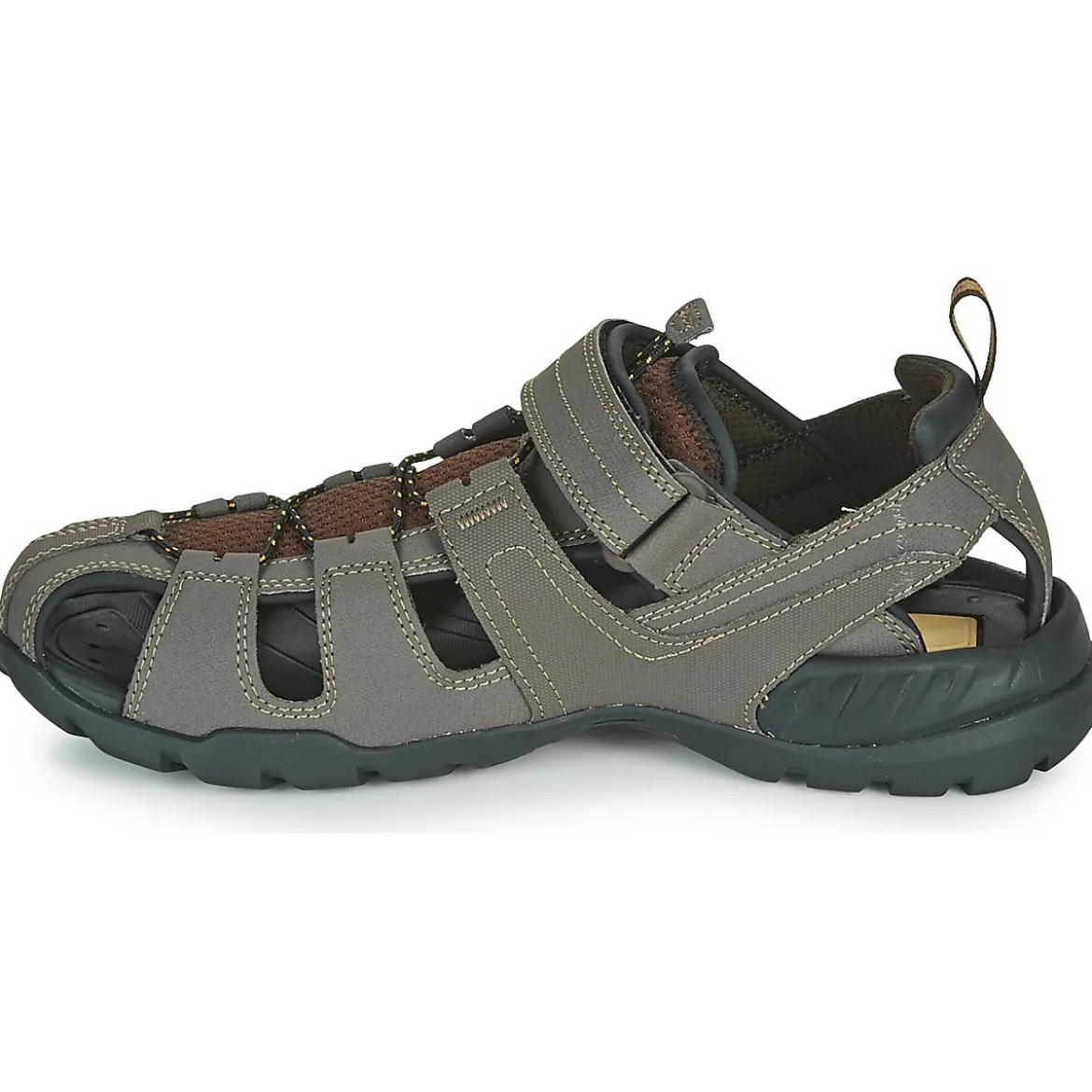 Teva FOREBAY