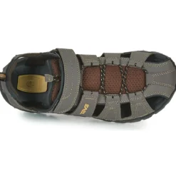 Teva FOREBAY