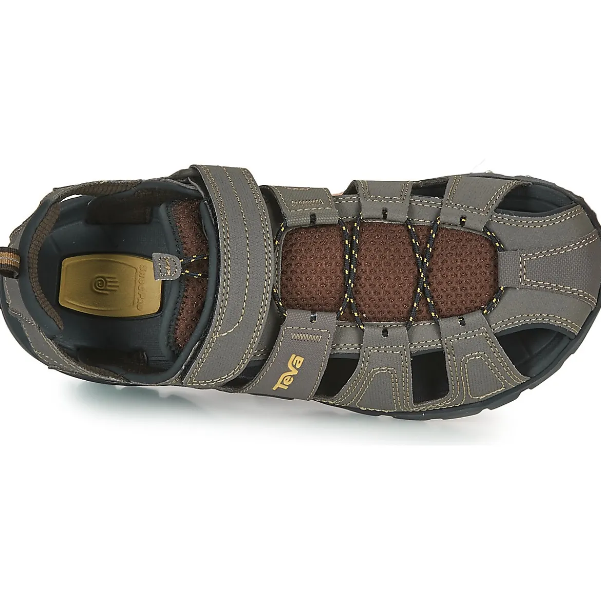 Teva FOREBAY