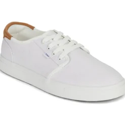 Toms CARLO