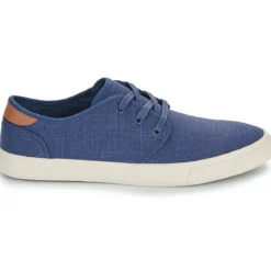 Toms CARLO