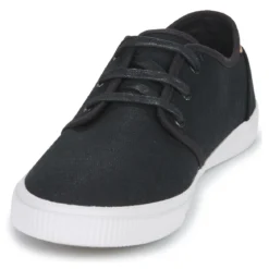 Toms CARLO