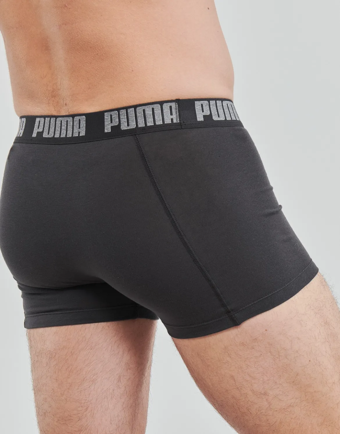 Trunks Puma