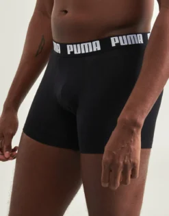 Trunks Puma