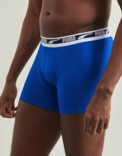 Trunks Puma