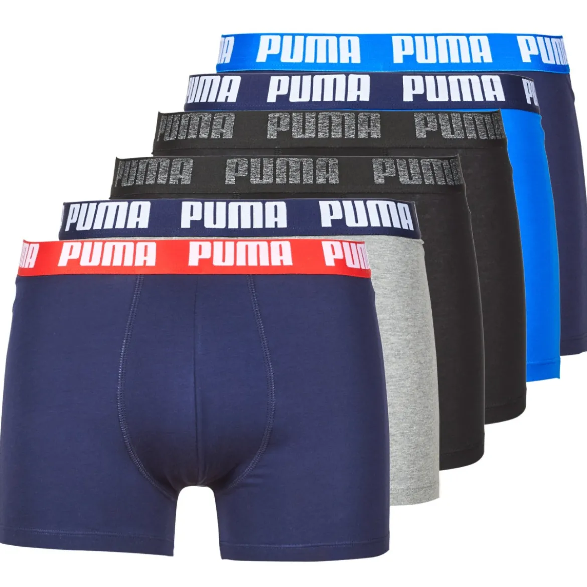 Trunks Puma