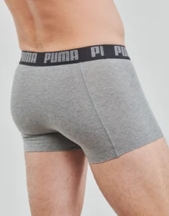 Trunks Puma