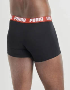 Trunks Puma