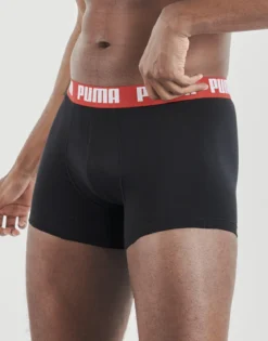 Trunks Puma