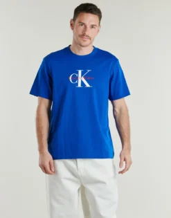 T-shirts m. korte ærmer Calvin Klein Jeans