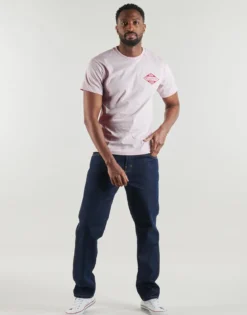 T-shirts m. korte ærmer Replay