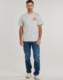 T-shirts m. korte ærmer Replay