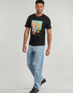 T-shirts m. korte ærmer Volcom