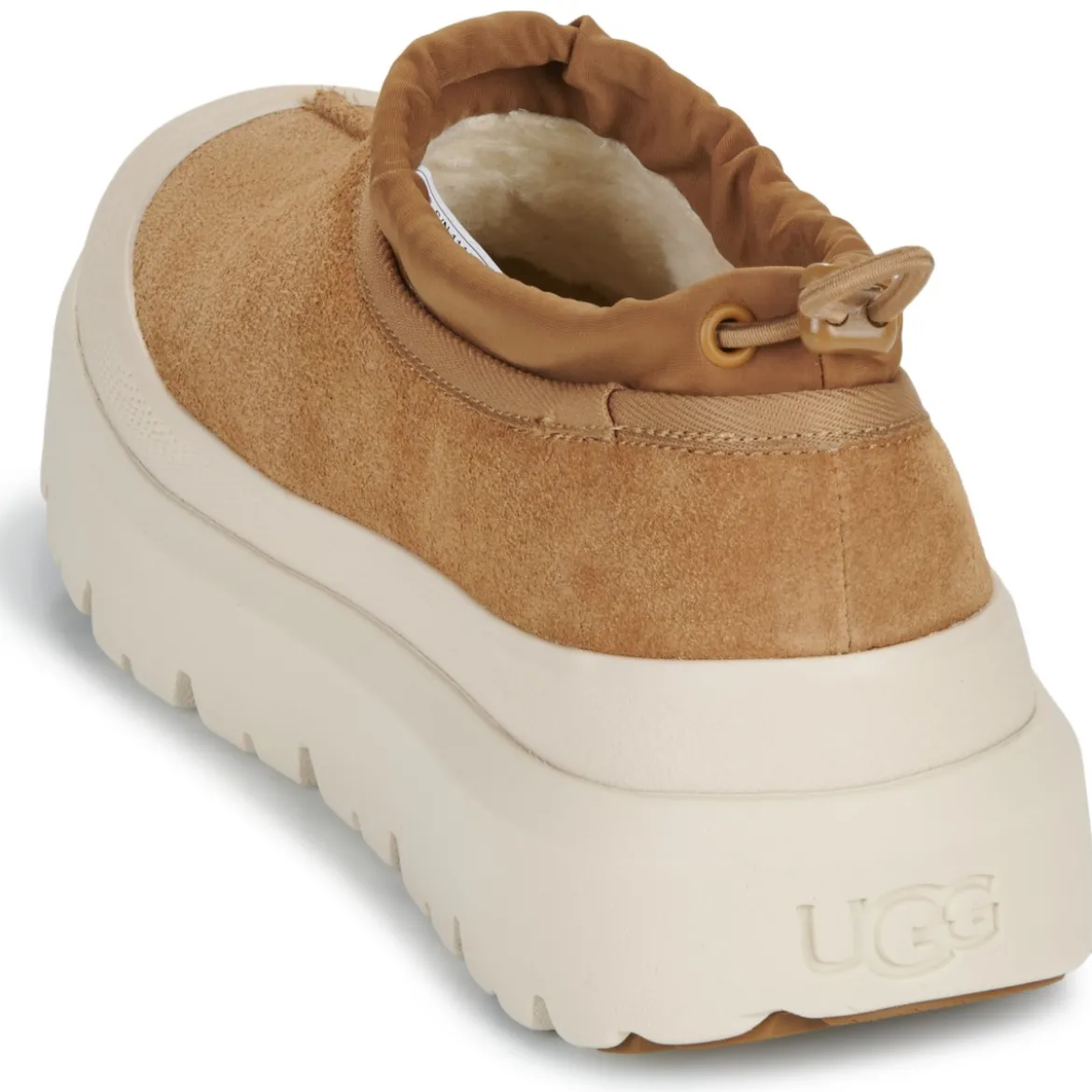 UGG TASMAN