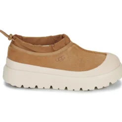UGG TASMAN